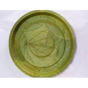 GREEN DISPOSBLE PLATES