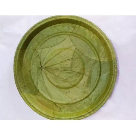 GREEN DISPOSBLE PLATES