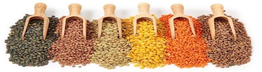 Buy Other Dals Dublin and Ireland - Desi Grocery