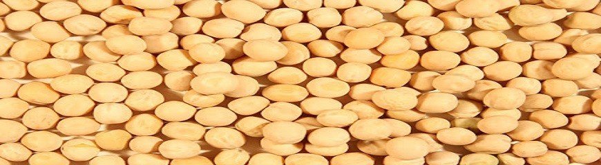 Buy Yellow Peas Dublin and Ireland - Desi Grocery